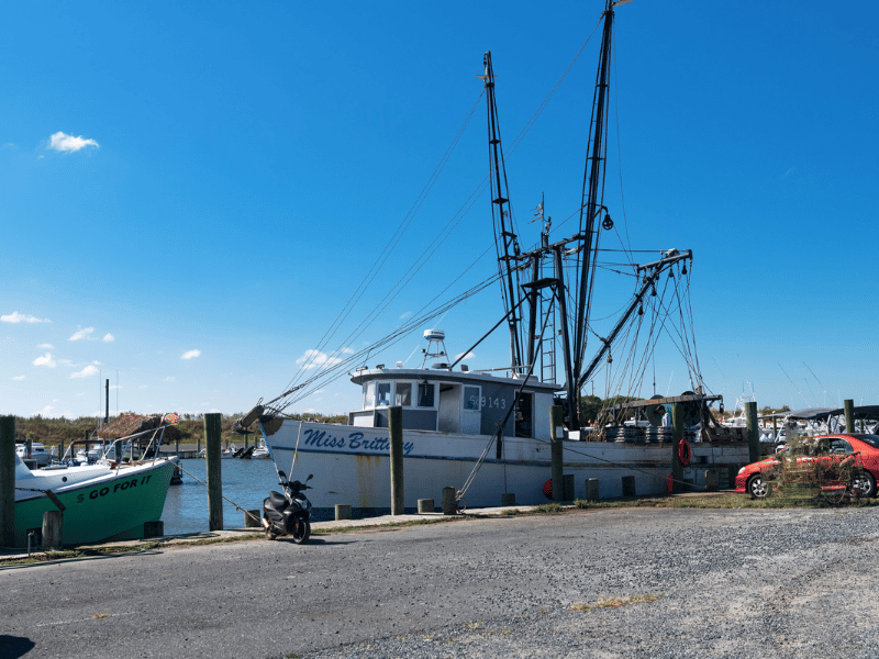Shrimp Boat