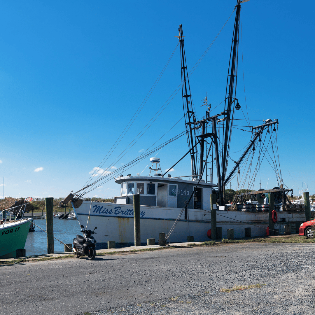 Shrimping