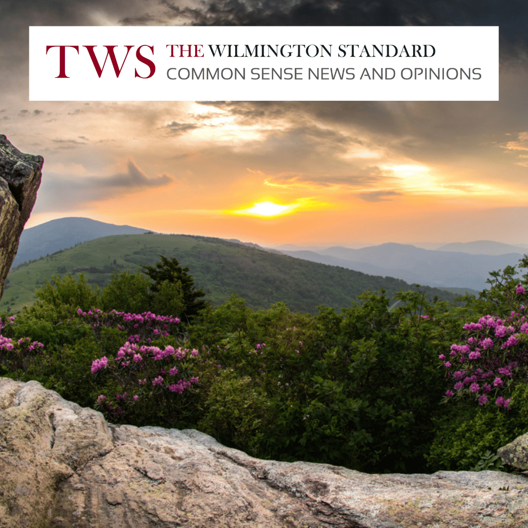 Beautiful Overlook In North Carolina - Enjoy June