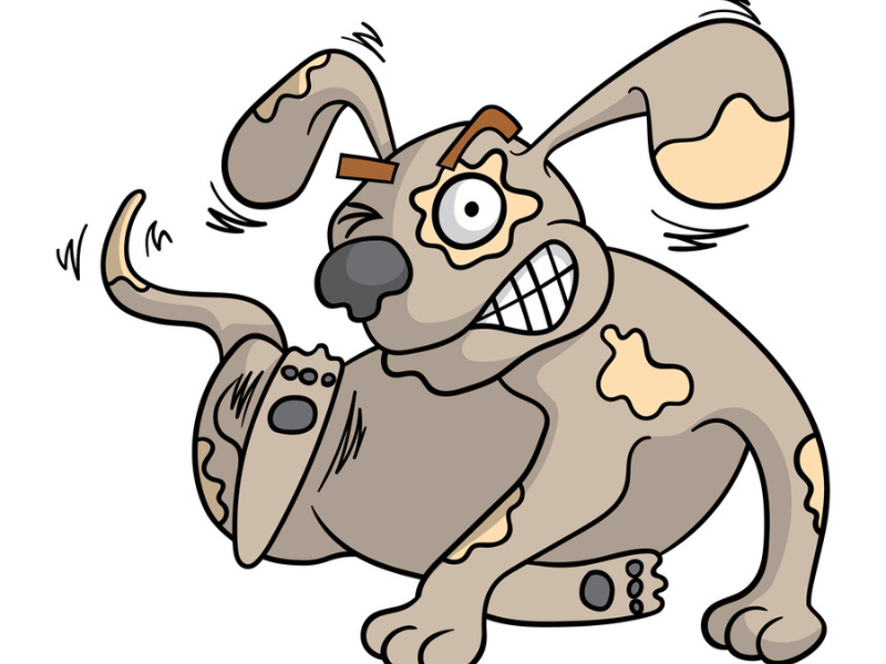 fleas article