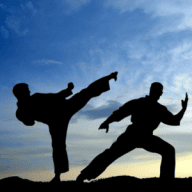 Mark Zuckerberg and Martial Arts