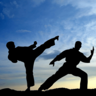 Mark Zuckerberg and Martial Arts