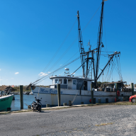 A Call to Protect Our Local Shrimping Industry