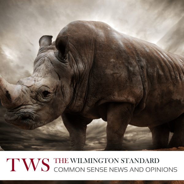 A RINO Reckoning?