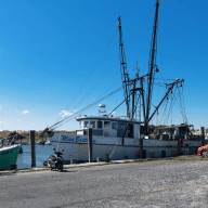 A Call to Protect Our Local Shrimping Industry